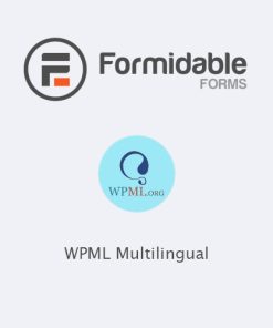 Formidable Forms  -  WPML Multilingual