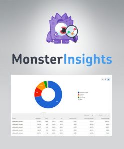MonsterInsights  -  Ads Addon