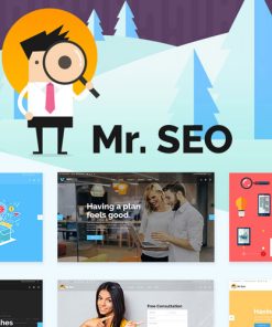 Mr. SEO  -  SEO, Marketing Agency and Social Media Theme