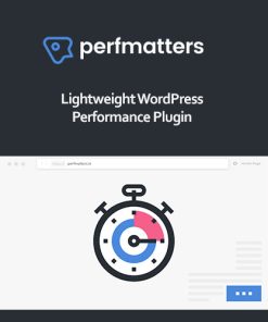 Perfmatters WordPress Plugin