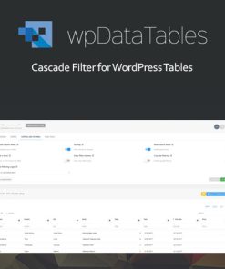 Powerful Filters for wpDataTables