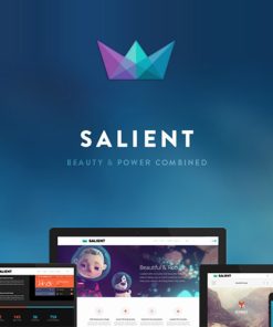 Salient  -  Responsive Multi-Purpose Theme