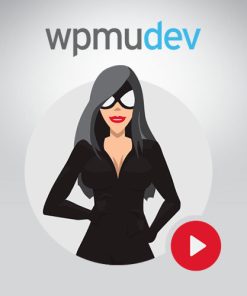 WPMU DEV SmartCrawl Pro