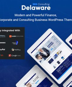 Delaware  -  Consulting and Finance WordPress Theme