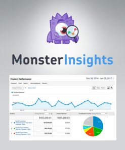 MonsterInsights  -  eCommerce Addon