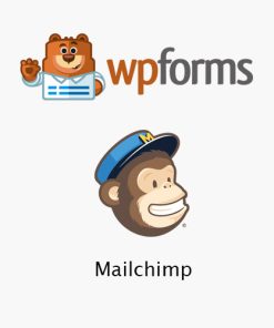WPForms  -  Mailchimp