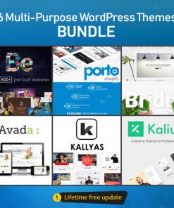 6 Multi-Purpose WordPress Themes ? BUNDLE