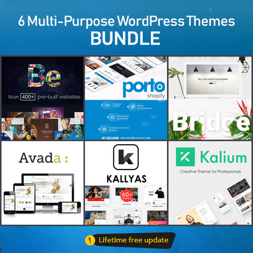 6 Multi-Purpose WordPress Themes ? BUNDLE