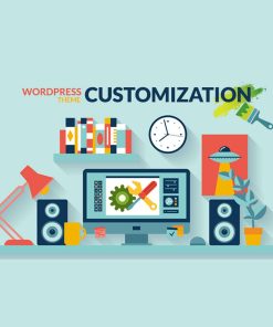 WordPress Theme Customization With Premium Theme & Plugins