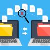 Website Migration Services – Get Your Website Migrated To Any New WordPress Without Losing Any Data