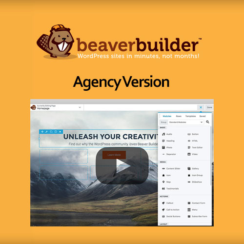 Beaver Builder Plugin ? Agency Version