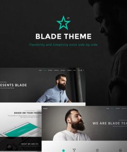 Blade  -  Responsive Multi-Functional Theme