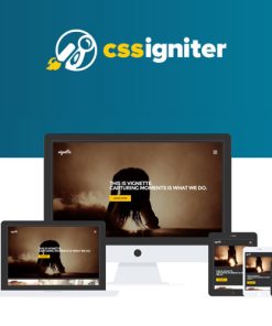CSS Igniter Vignette  WordPress Theme
