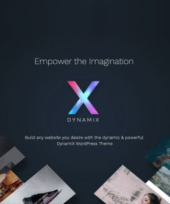 DynamiX  -  Business / Corporate WordPress Theme