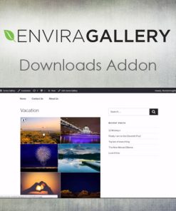 Envira Gallery ? Downloads Addon
