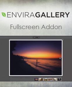 Envira Gallery ? Fullscreen Addon