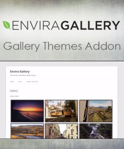 Envira Gallery ? Gallery Themes Addon