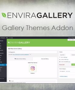 Envira Gallery ? Instagram Addon