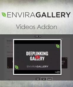 Envira Gallery ? Videos Addon