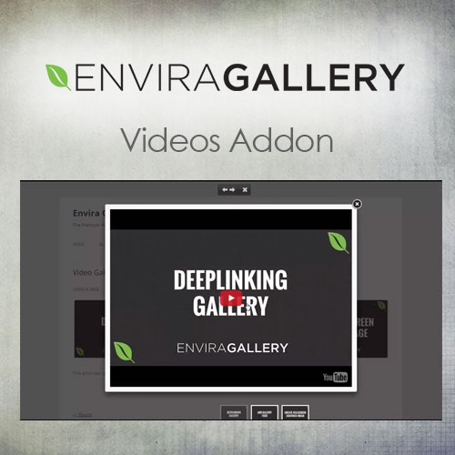 Envira Gallery ? Videos Addon