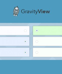 GravityView  -  Entry Revisions