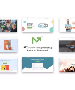 Marketing Pro  -  SEO WordPress Theme for SEO, Agency