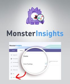 MonsterInsights  -  Forms Tracking Addon