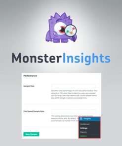 MonsterInsights  -  Performance Addon