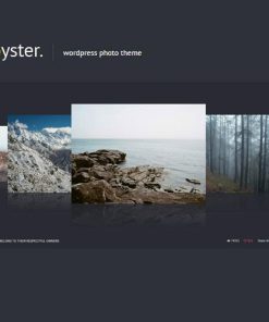 Oyster  -  Creative Photo WordPress Theme