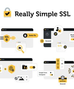 Really Simple SSL Pro