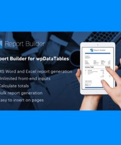 Report Builder  -  Generate Word DOCX and Excel XLSX documents