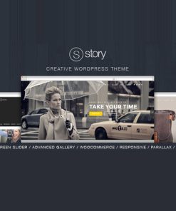 Story  -  Creative Responsive Multi-Purpose Theme