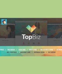 TopBiz  -  Responsive Corporate WordPress Theme