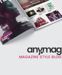 Anymag  -  Magazine Style WordPress Blog