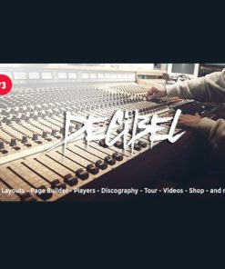 Decibel  -  Professional Music WordPress Theme