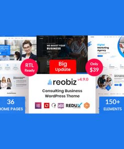 Reobiz  -  Consulting Business WordPress Theme