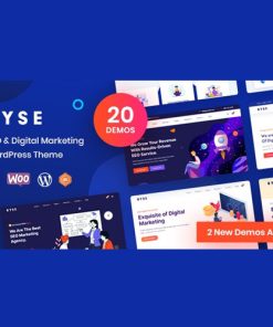 Ryse  -  SEO & Digital Marketing Theme