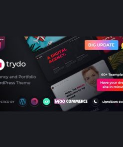 Trydo  -  Agency & Portfolio Theme