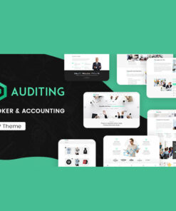 Auditing | Accounting Consultant, Finance WordPress Theme