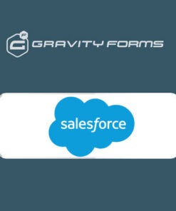 Gravity Forms Salesforce Add-On